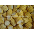 2015 frozen iqf sweet corn cob